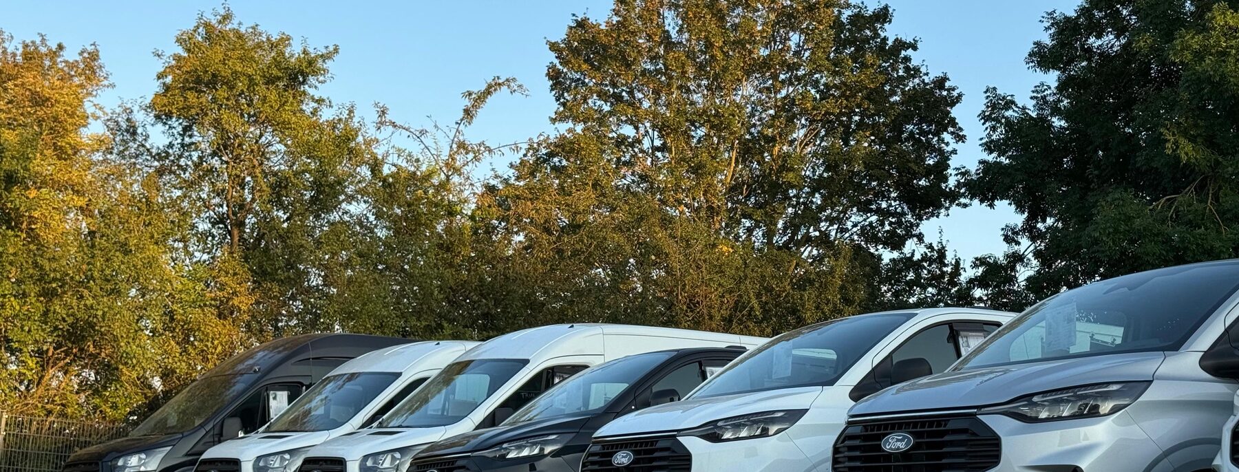 Fahrzeugreihe auf dem Betriebsgelände des Autohauses